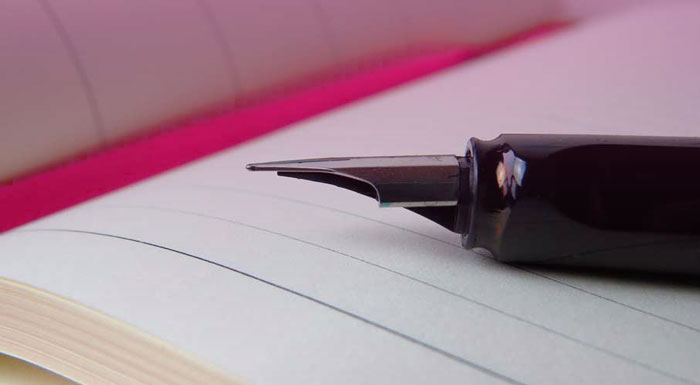 ONLINE DIARY ONLINE DIARY